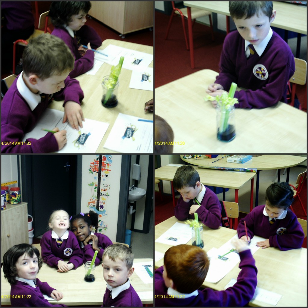 science5