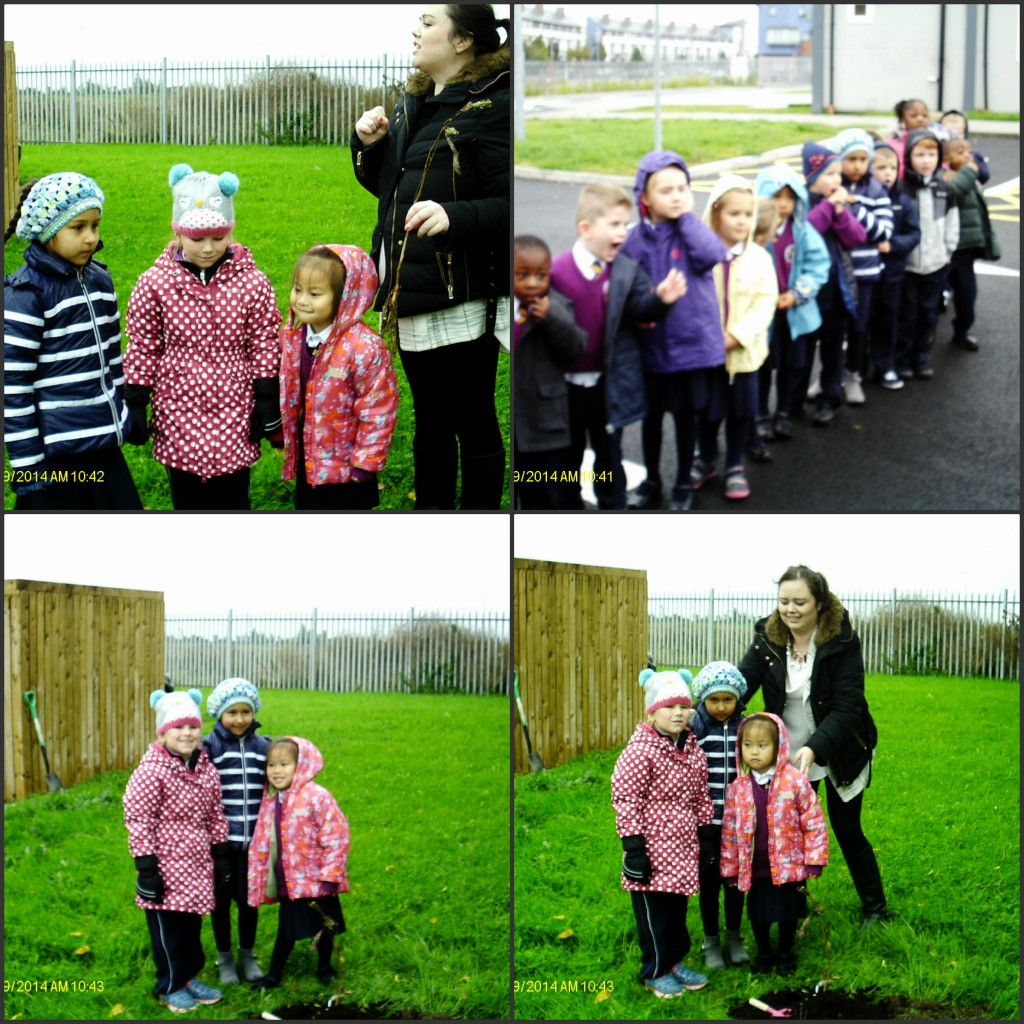 tree planting