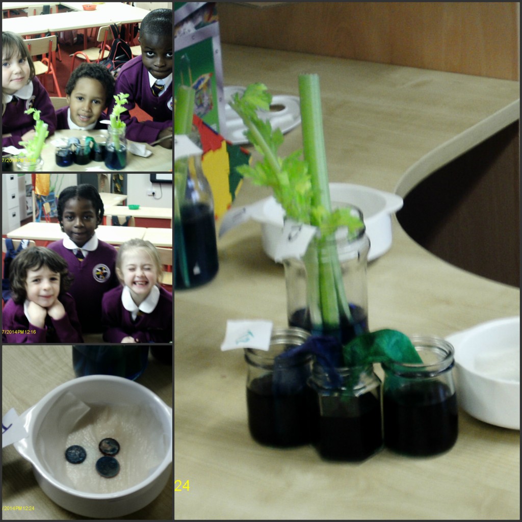 scienceexper2